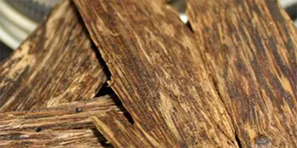 خشب العود الطبيعي